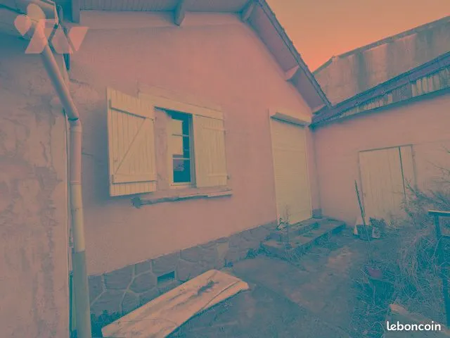 Photo 4