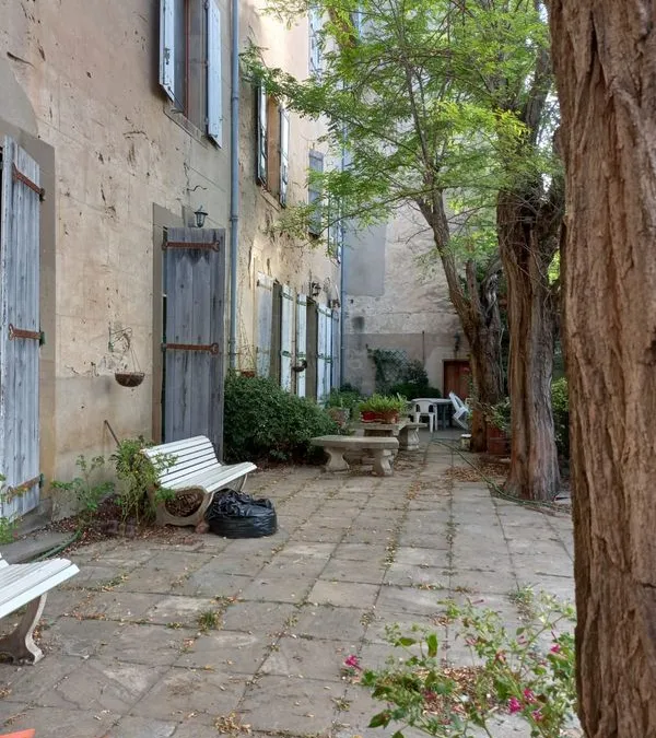 Photo 7