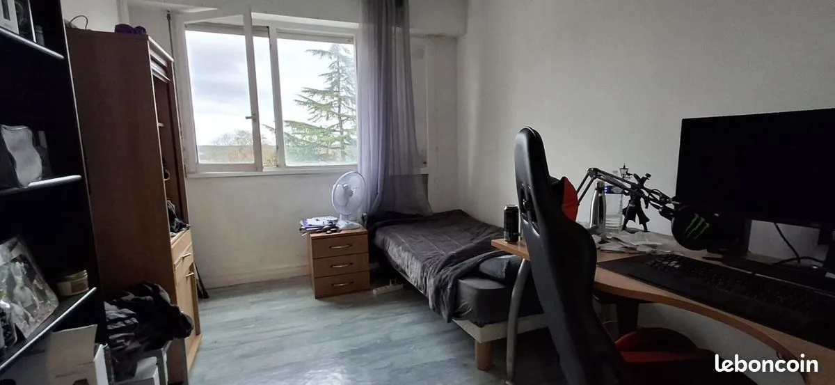 Photo 7