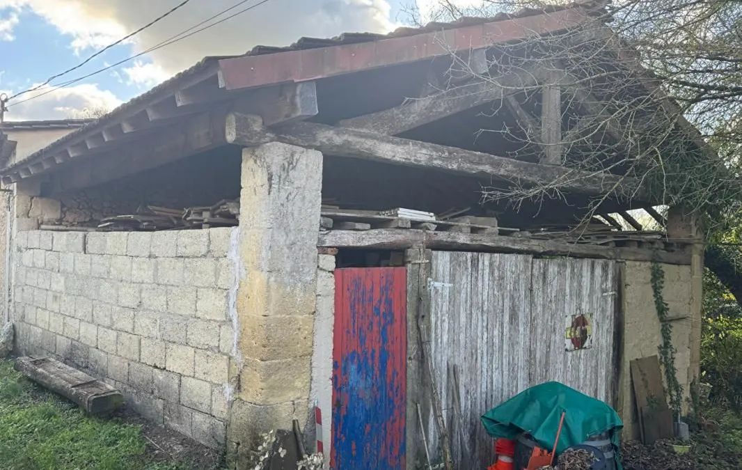 Photo 15