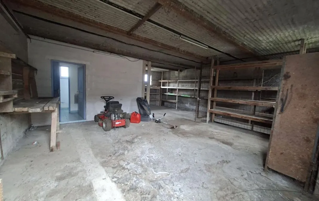 Photo 6