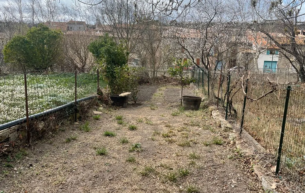 Photo 12