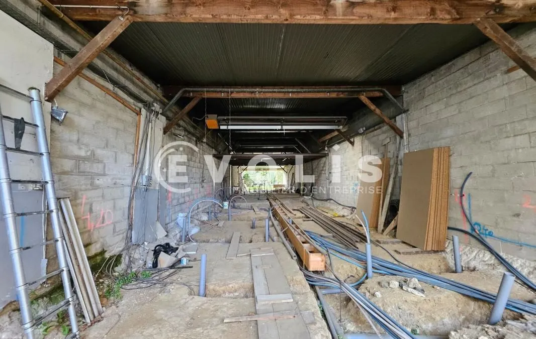 Photo 4