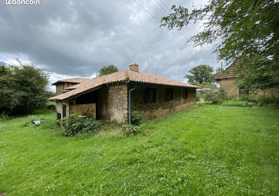 Photo 19