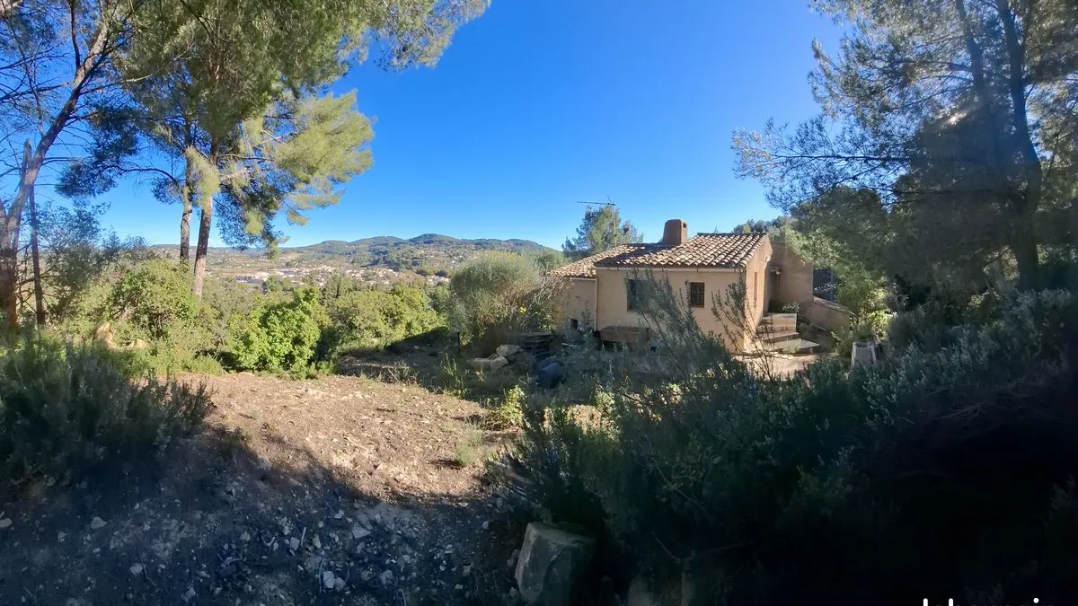 Photo 5