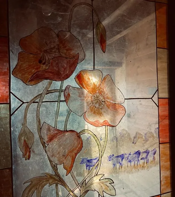 Photo 19