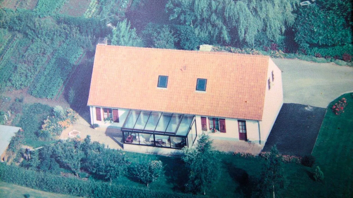 Photo 11