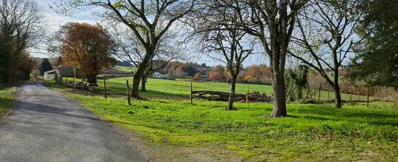 Photo 27