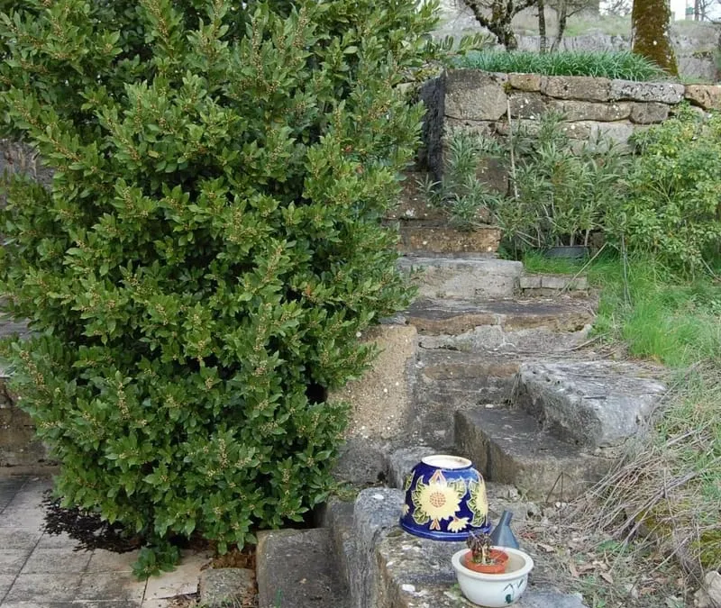 Photo 28
