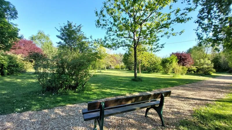 Photo 11