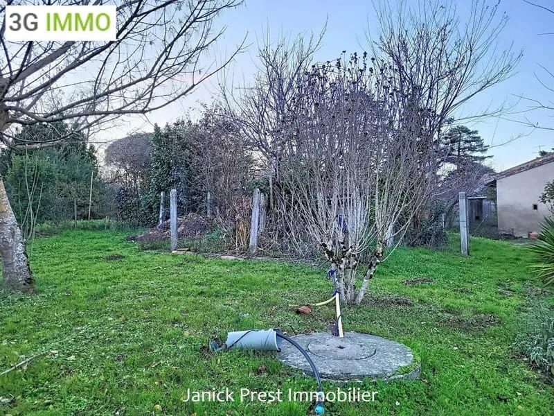 Photo 15