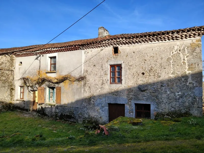 Photo 10