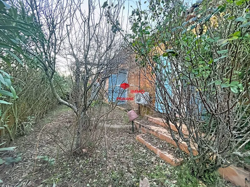 Photo 11