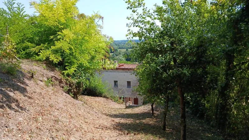 Photo 16