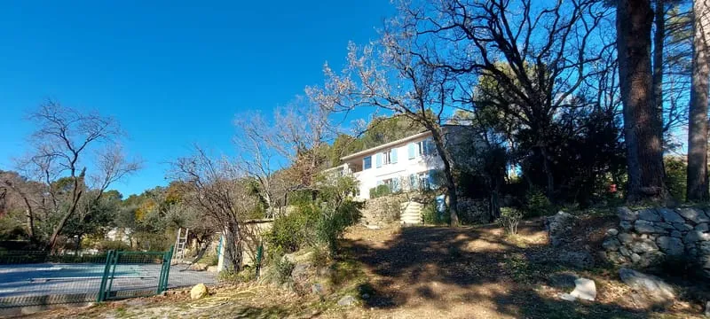 Photo 4