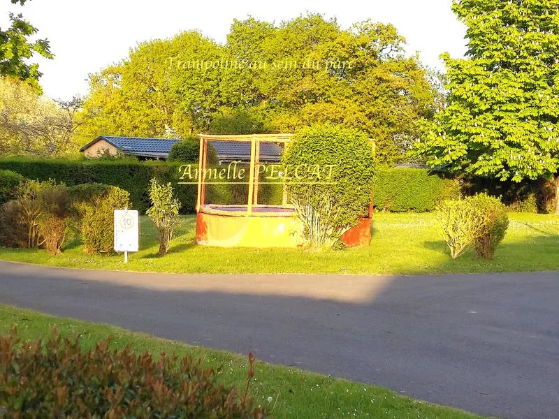 Photo 17