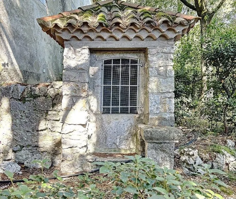 Photo 11