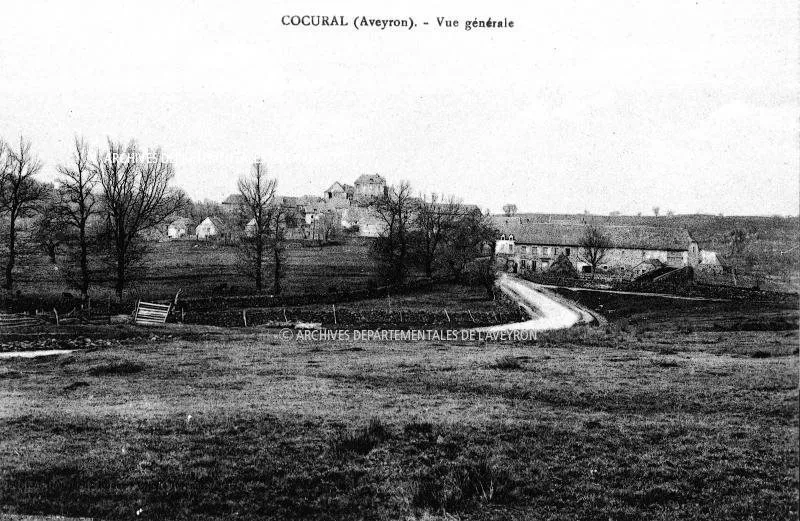 Photo 49