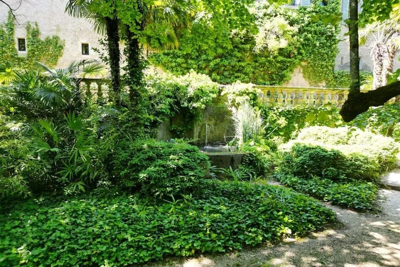 Photo 18