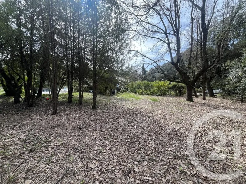 Photo 30