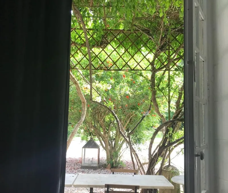 Photo 19