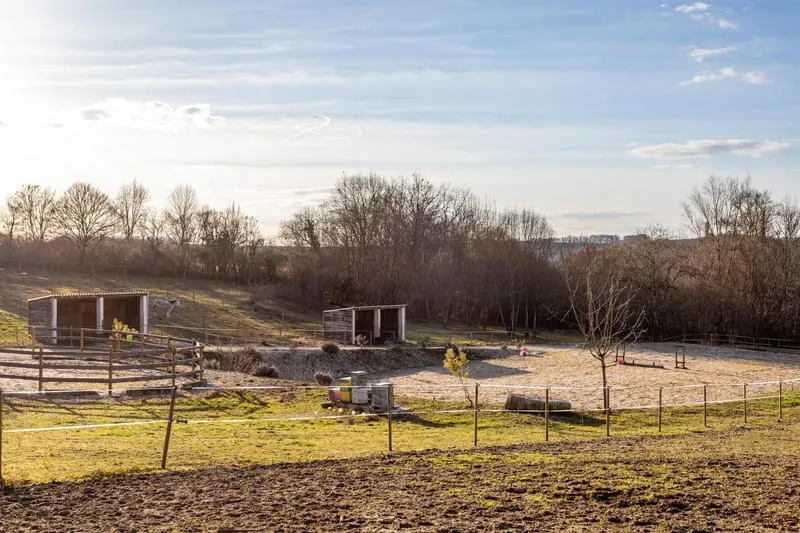 Photo 26