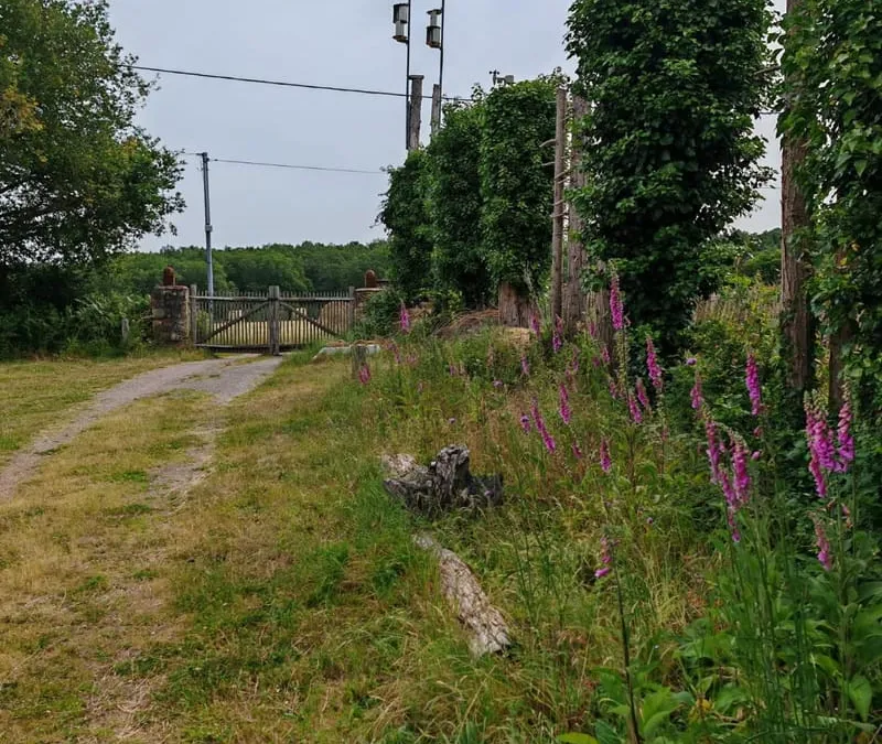 Photo 6