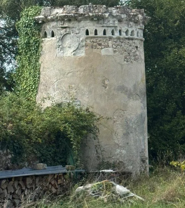 Photo 6