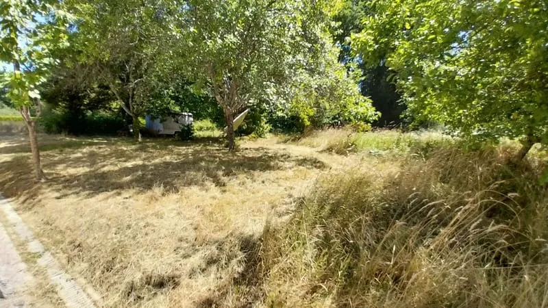 Photo 24