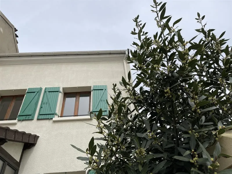 Photo 45