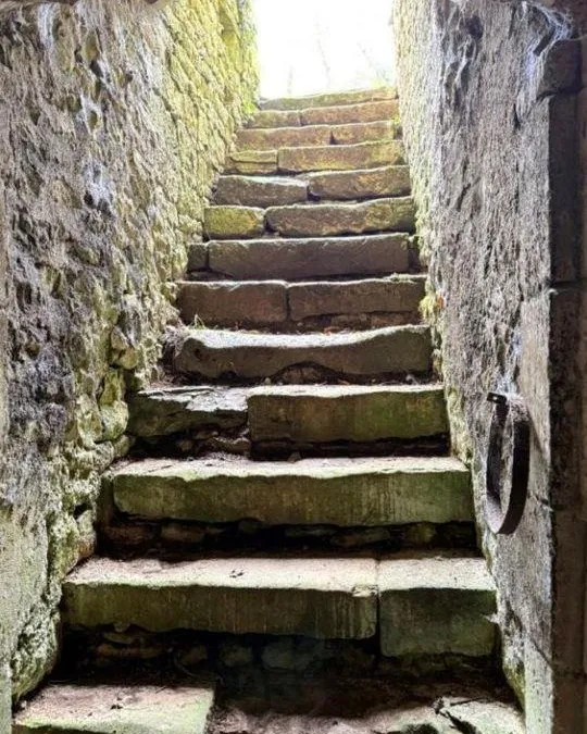 Photo 29