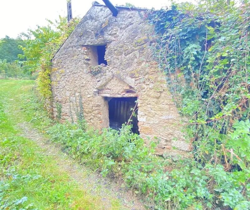 Photo 8