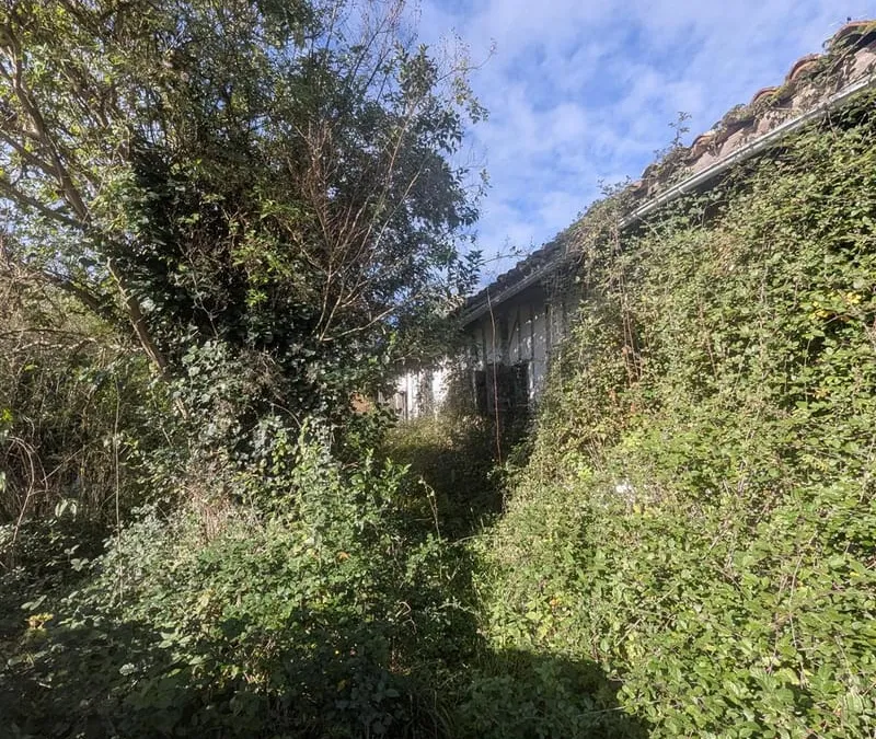 Photo 13
