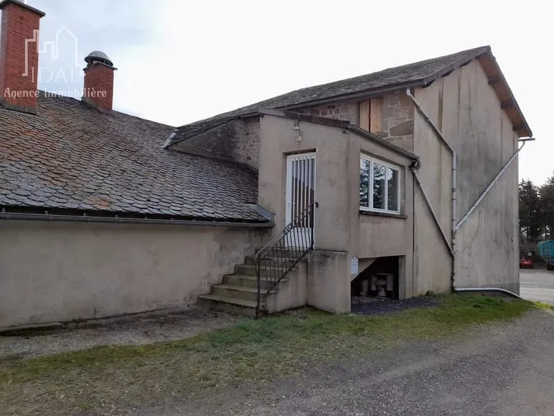 Photo 19