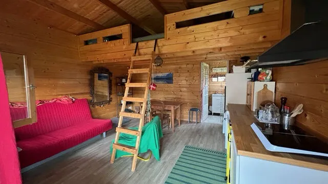 Photo 7