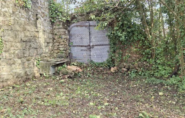 Photo 7