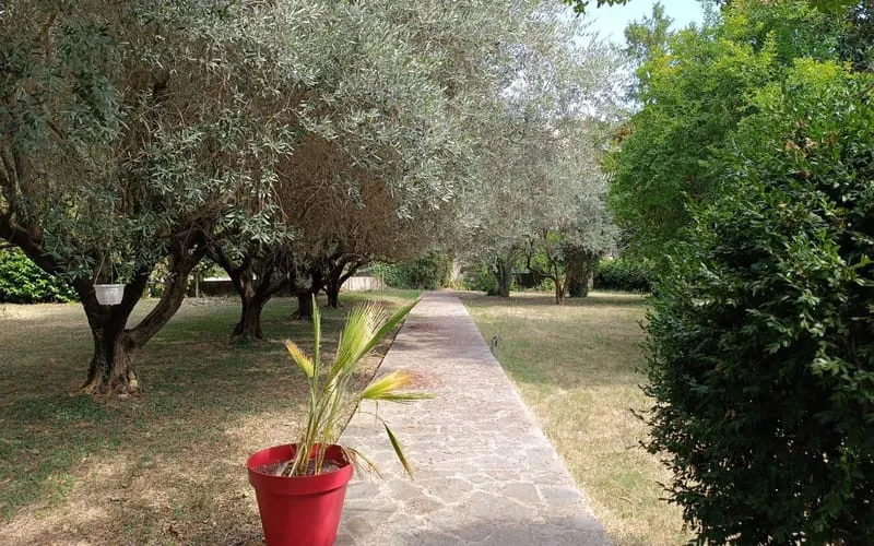 Photo 7