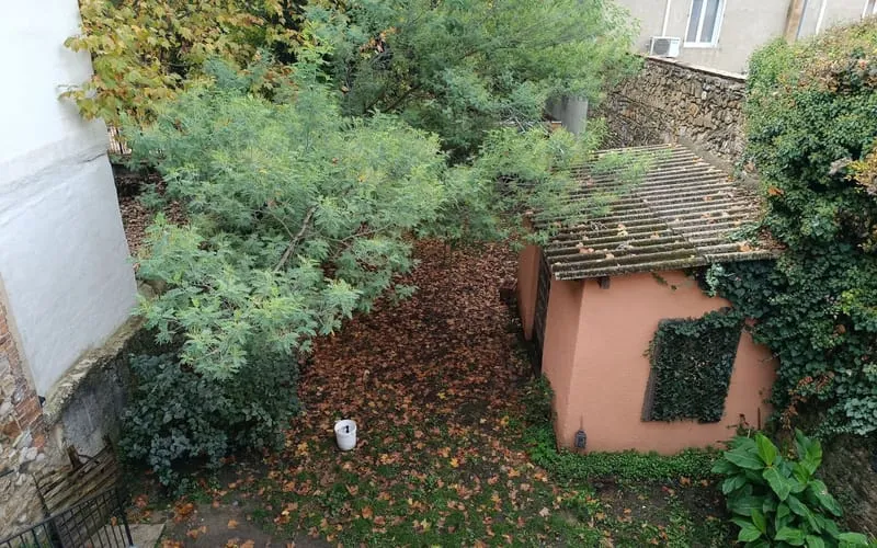 Photo 11