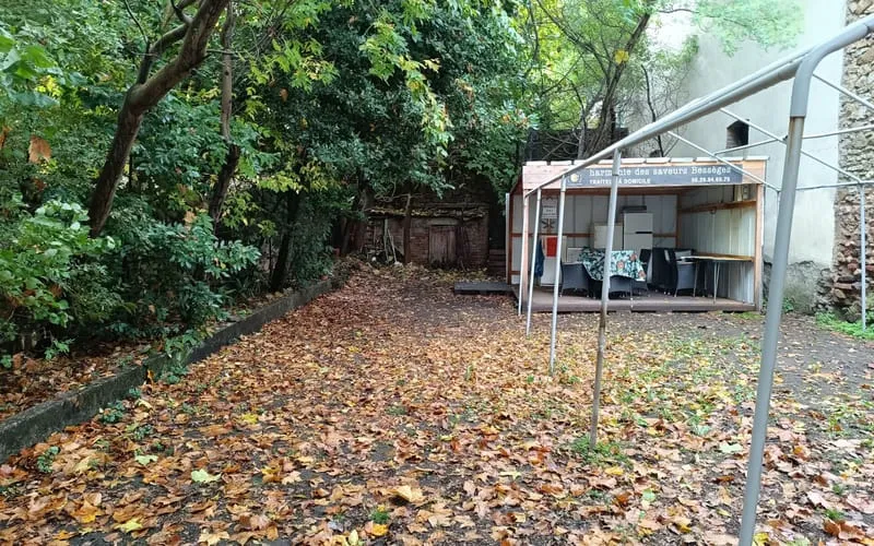 Photo 8