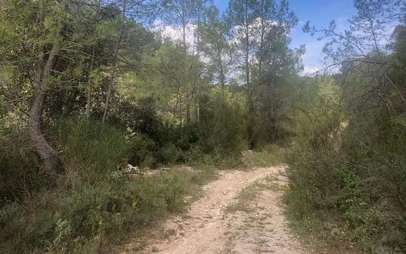 Photo 2