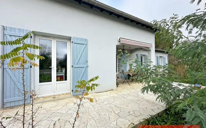 Photo 8