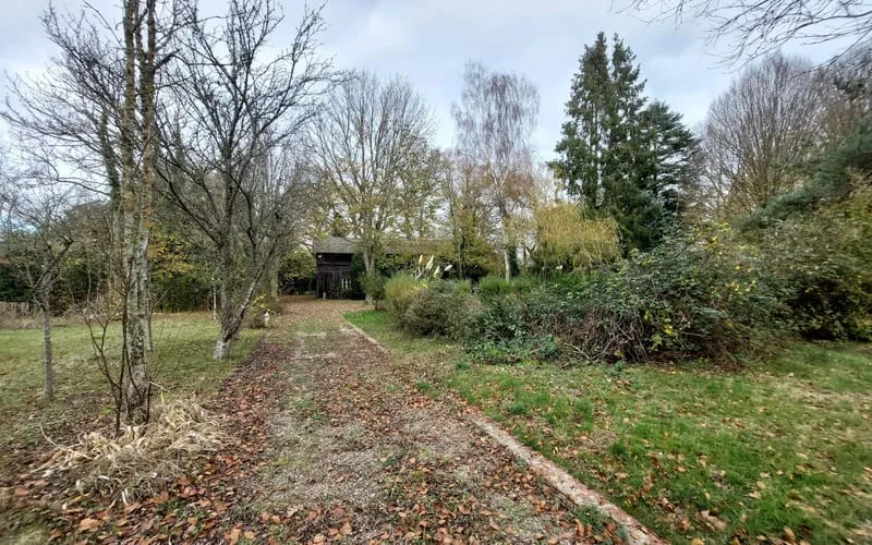 Photo 41