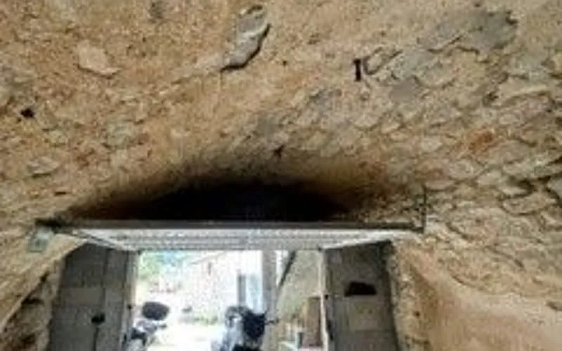 Photo 4