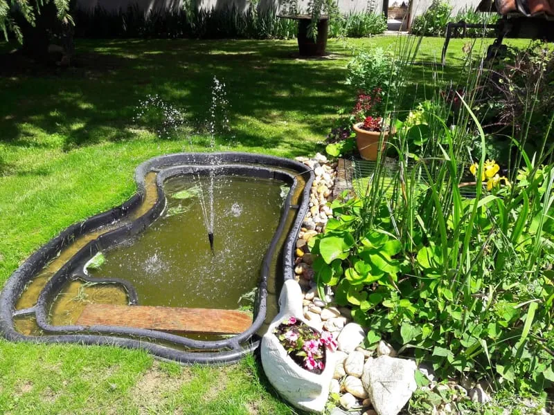 Photo 25