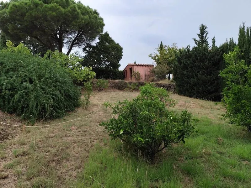 Photo 17