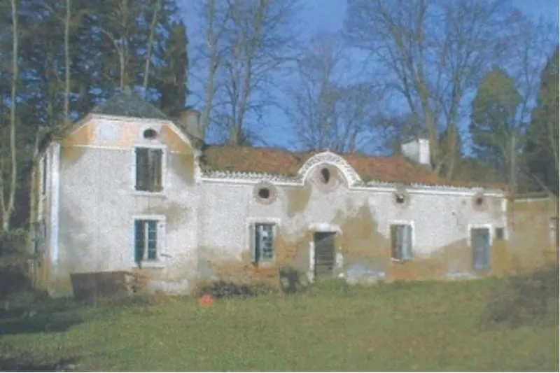Photo 4