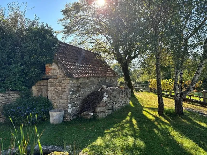 Photo 17