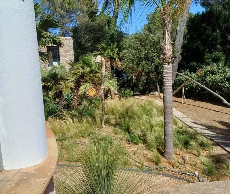Photo 25