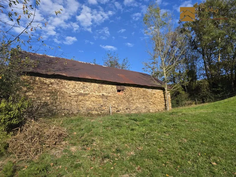 Photo 15