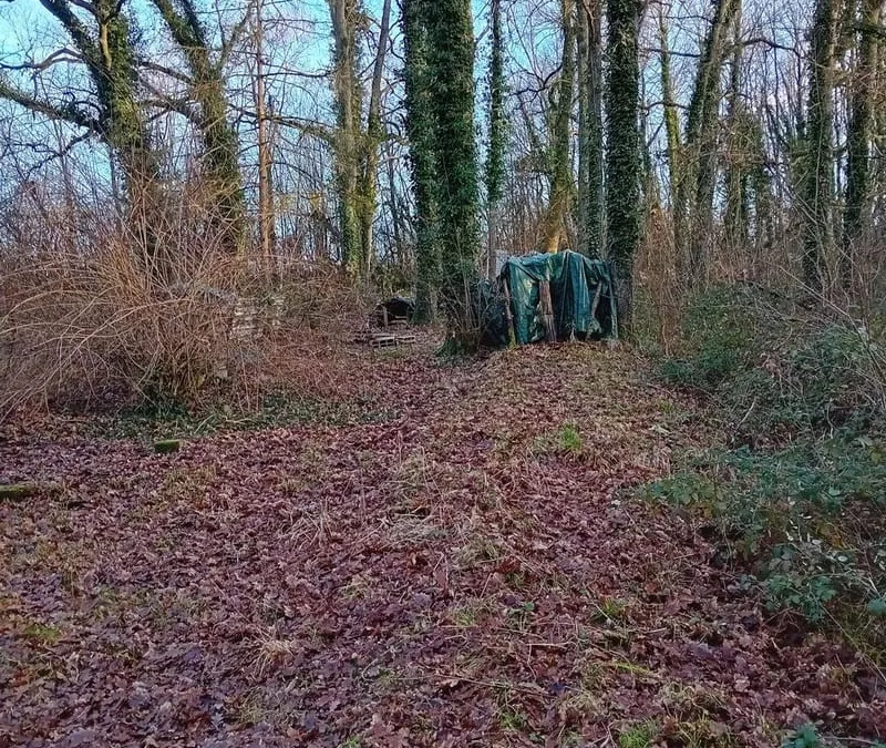 Photo 2